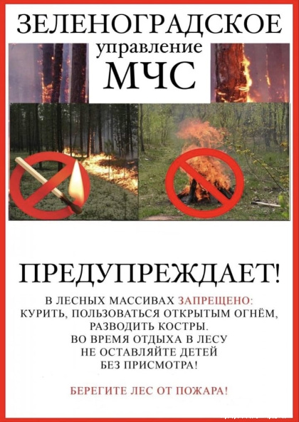 WhatsApp Image 2024-06-13 at 20.26.59.jpeg